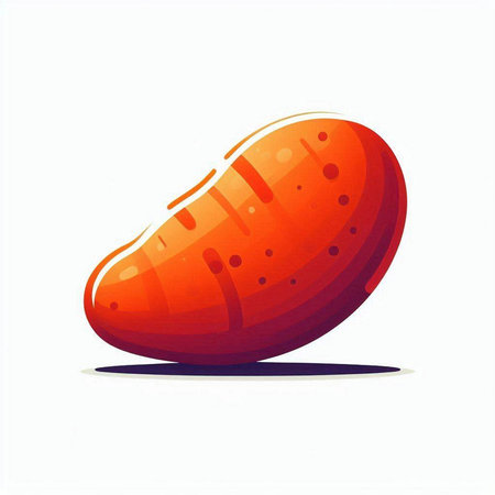 Illustration of a sweet potato on a white background. Vector illustrationのイラスト素材