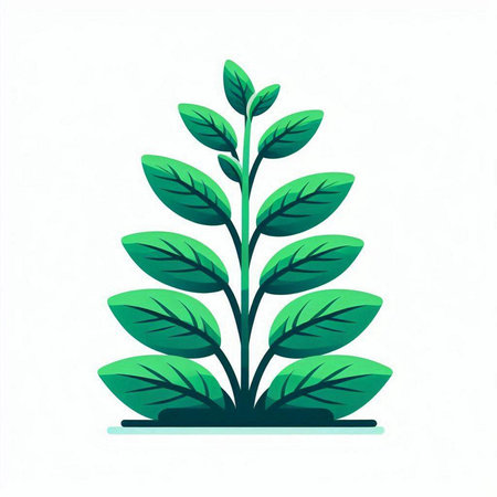 Green plant with leaves. Vector illustration isolated on a white background.のイラスト素材