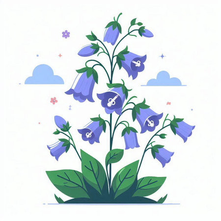 Blue bellflowers on a white background. Flat vector illustration.のイラスト素材