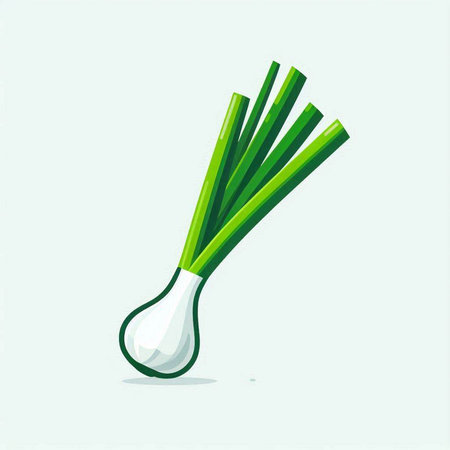 Illustration of a green onion on a light background. Vector illustrationのイラスト素材