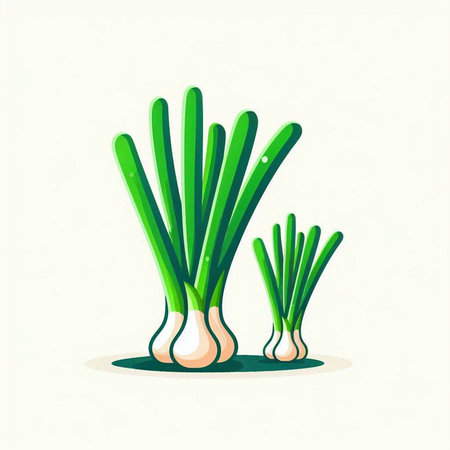 Vector illustration of fresh spring onions. Isolated on white background.のイラスト素材