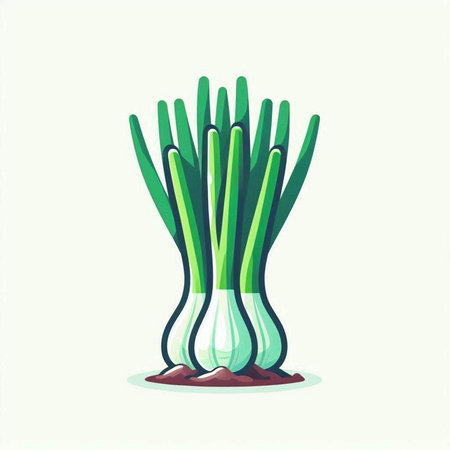 Illustration of a green onion isolated on a white background - vectorのイラスト素材