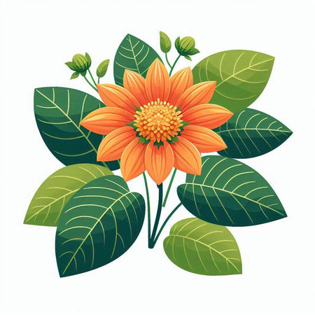 Orange flower with green leaves isolated on white background. Vector illustration.のイラスト素材
