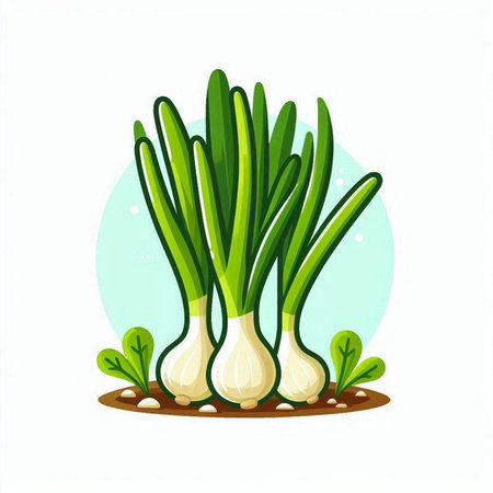 Vector illustration of green onion on white background. Vegetable concept.のイラスト素材
