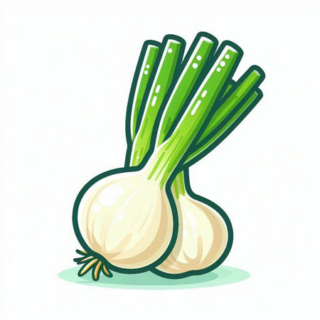 Illustration of a bunch of fresh green onions on a white backgroundのイラスト素材
