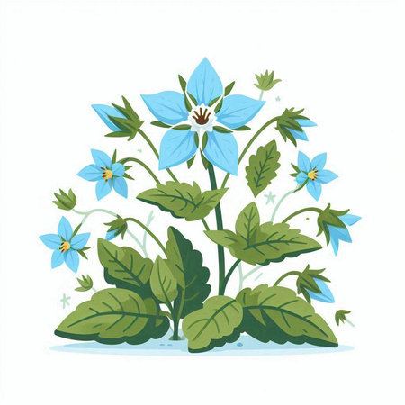 Bouquet of blue flowers on a white background. Vector illustration.のイラスト素材