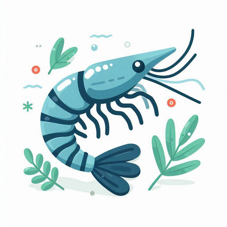 Shrimp. Vector illustration in a flat style on a white background.のイラスト素材