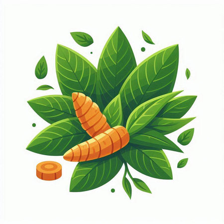 Turmeric and leaves. Vector illustration isolated on a white background.のイラスト素材
