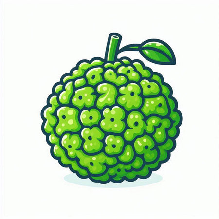 Custard apple. Vector illustration of a custard apple.のイラスト素材