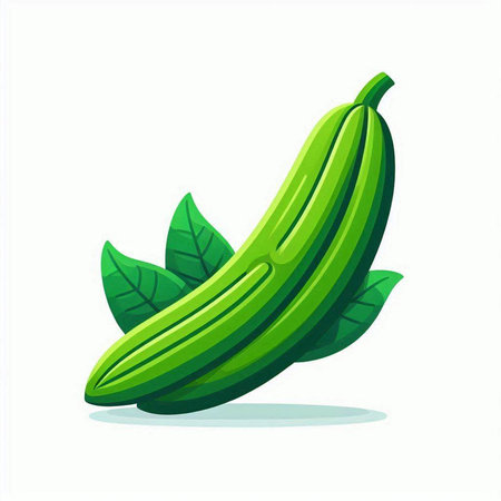 Cucumber with leaves isolated on white background. Vector illustration.のイラスト素材