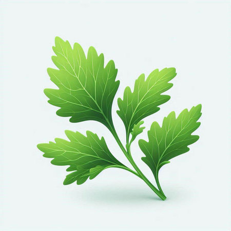Parsley leaves isolated on a white background. Vector illustration.のイラスト素材