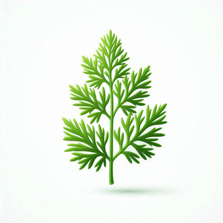 Fresh green parsley leaf isolated on white background. Vector illustration.のイラスト素材