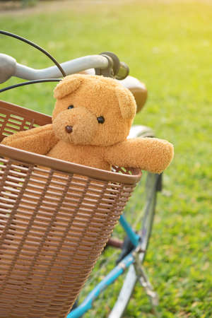 Teddy bear doll in bicycle basket.の写真素材
