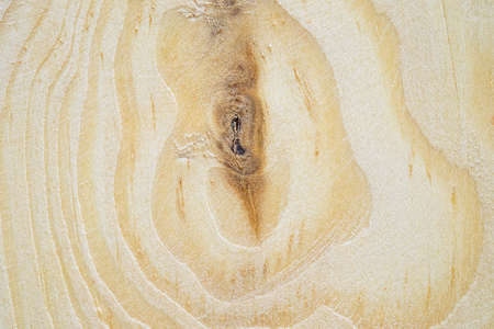 Wood texture background for your design.の写真素材