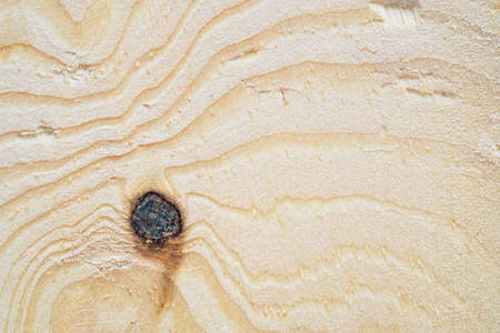 Wood texture background for your design.の写真素材