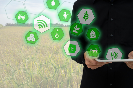 Internet of things(agriculture concept),smart farming,industrial agriculture.Farmer hold the tablet and to use augmented reality technology to control ,monitor and management in the fieldの写真素材