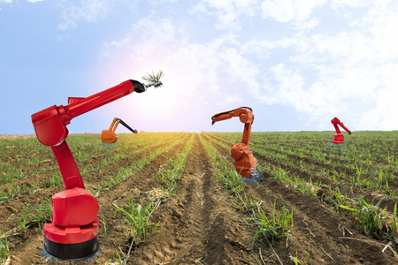 iot, internet of things, agriculture concepts, Farmer use smart farm robot assistant to work in the farm , to detect the weed ,spray the chemical use robot for replace worker and increase efficiencyの写真素材