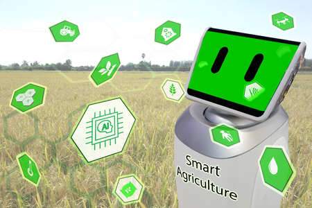 iot, internet of things, agriculture,robot technology concept, robotic help and management, analysis the data in the farmの写真素材