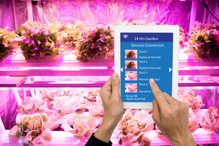 smart agriculture in futuristic concept, farmer use technology to monitor, control and adjustment led, atmosphere,humidity, water level and keep tracking harvesting time in vertical or indoor farmingの写真素材