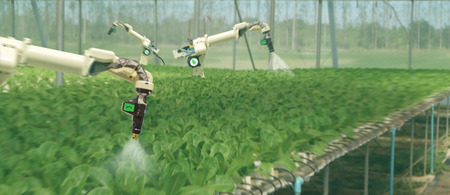 smart robotic in agriculture futuristic concept, robot farmers (automation) must be programmed to work to spray chemical,fertilizer or increase efficiency, growing a seed, harvesting, reduce timeの写真素材