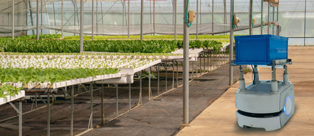 iot smart agriculture industry 4.0 concept. smart robotic in agriculture futuristic , robot farmers (automation) programmed to work in the indoor farm for increase efficiency growing a seed,harvestingの写真素材