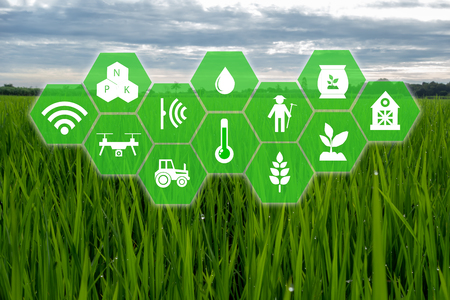 iot, internet of things,farmer agriculture concept, Smart farm with Robotic icon (artificial intelligence/ ai) use for management , control , monitoring, and detect with the sensor in the farm, field.の写真素材