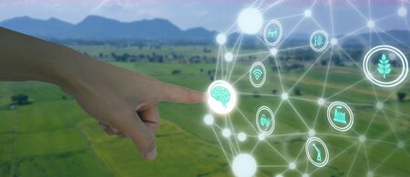 iot, internet of things, agriculture concept, Smart Robotic (artificial intelligence/ ai) use for management , control , monitoring, and detect with the sensor in the farm, field.の写真素材