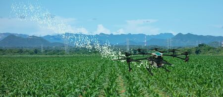 iot drone smart farming, agriculture in industry 4.0 technology ,artificial intelligence ,machine learning concept. it help to improve, categorized, specified goal, solve problem, keep goal, predictの写真素材
