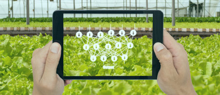 smart agriculture with technoloty concept, farmer use deep learning with artificial intelligence to...