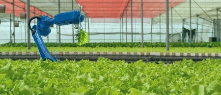 iot smart industry robot 4.0 agriculture concept,industrial agronomist,farmer using software...