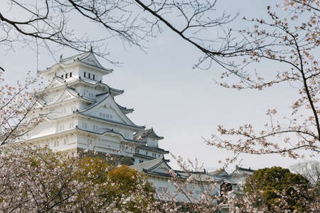 Himeji Castle in the Sakura Blossom Day, Famous place in Japanのeditorial素材