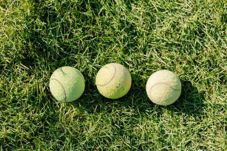 Three Tennis ball on the lawnの写真素材