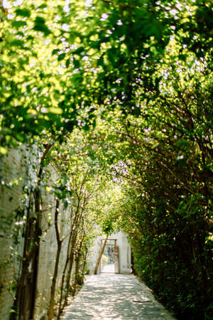 The walk in the parkの写真素材