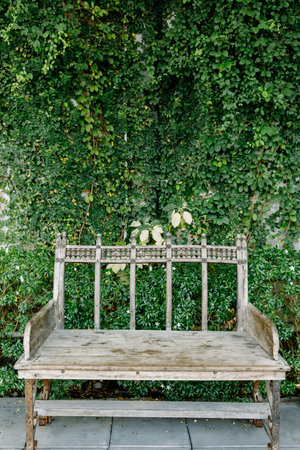 One of the chairs in the garden