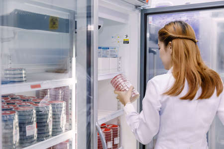 Young Asian researcher looking at the flask in the science laboratory.の写真素材