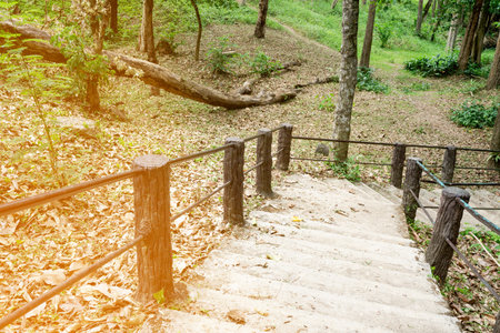 The path is a ladder made of cement. In the park area.