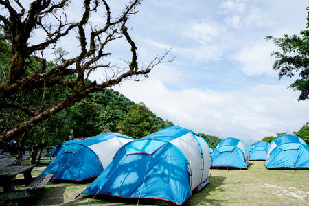 The blue tent was spread on the grassland. In the national park