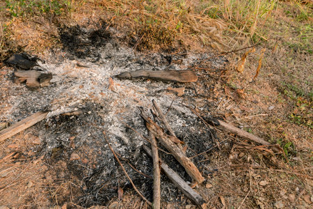 Ashes Traces of the burning of waste and wood waste which the fire has completely closed.
