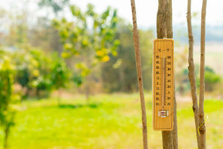 A small air thermometer is attached to the tree to tell the temperature. for tourists to see, on a clear morningの写真素材