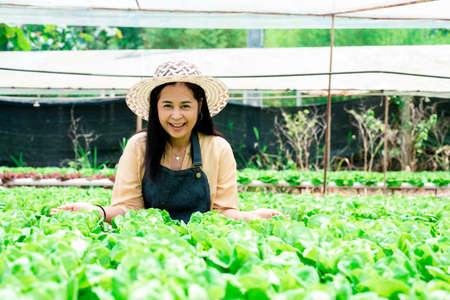 Portrait of Asian woman who owns a hydroponics vegetable farm checks the quality of vegetables grown on the farm before harvesting them for sale. Growing vegetables using non-toxic methods.の写真素材