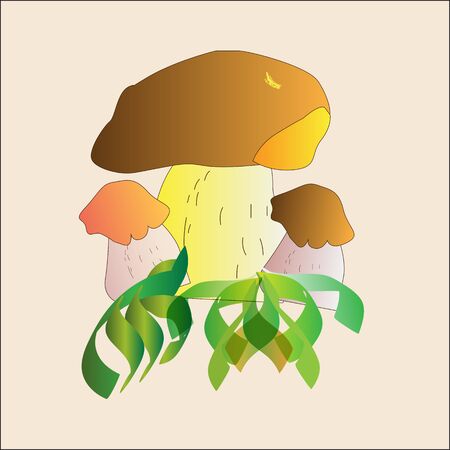 vector illustration depicting a family of white mushrooms in the grassの写真素材