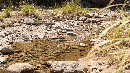 landscape bed of a mountain river with stones in the summer heat