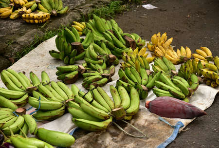 Fresh bananas at the traditional marketの写真素材