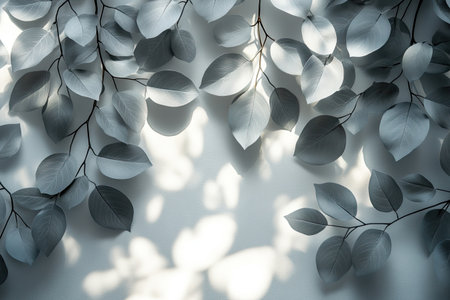 Abstract shadow of tree leaves on a white background. Gray, blurred foliage, branches, and leaves cast a shadow, suitable for product display, a summer nature template, light effect, mockup, or banner. --ar 3:2 --stylize 750 --v 6.1 Job ID: 47342696-15c9-4080-9a51-097ace6ec90dの素材