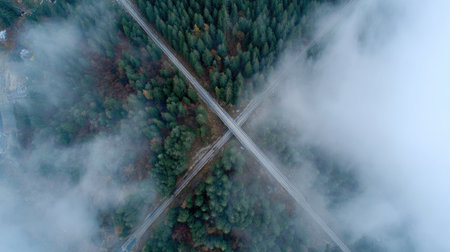 Aerial perspective of a forest landscape with two roads crossing.  The roads intersect at a point in the middle of the image, with a dense forest surrounding them. A thick layer of fog or mist fills the space above and around the roads and trees, creating a soft, ethereal atmosphere.の素材