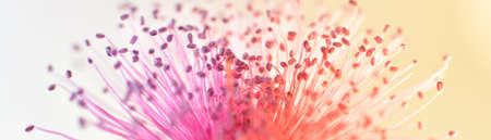 abstract background for web banners with space for text. HD Image and Large Resolution. can be used as wallpaperの写真素材