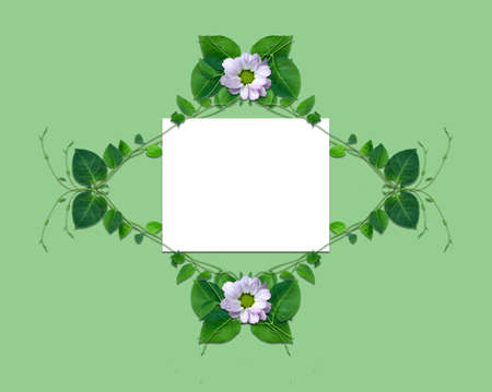 Creative layout made of flowers and leaves isolated on white background. Flat lay. Nature conceptの写真素材