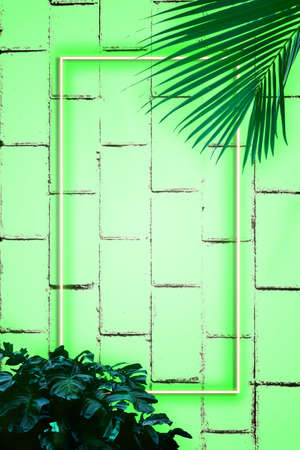 Background of brick walls and colorful neon lights. Silhouettes of tropical leaves, summer concept, free space for textの写真素材