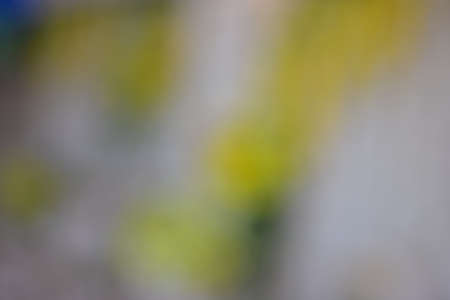 Colorful bokeh with neon lights at night time, motion movement with traffic light in the city on car windshield view, blurred light background. Speed fast with driving car. Long exposure.の写真素材