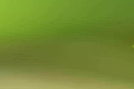 Bokeh green nature, Subtle background in abstract style for graphic design or wallpapers